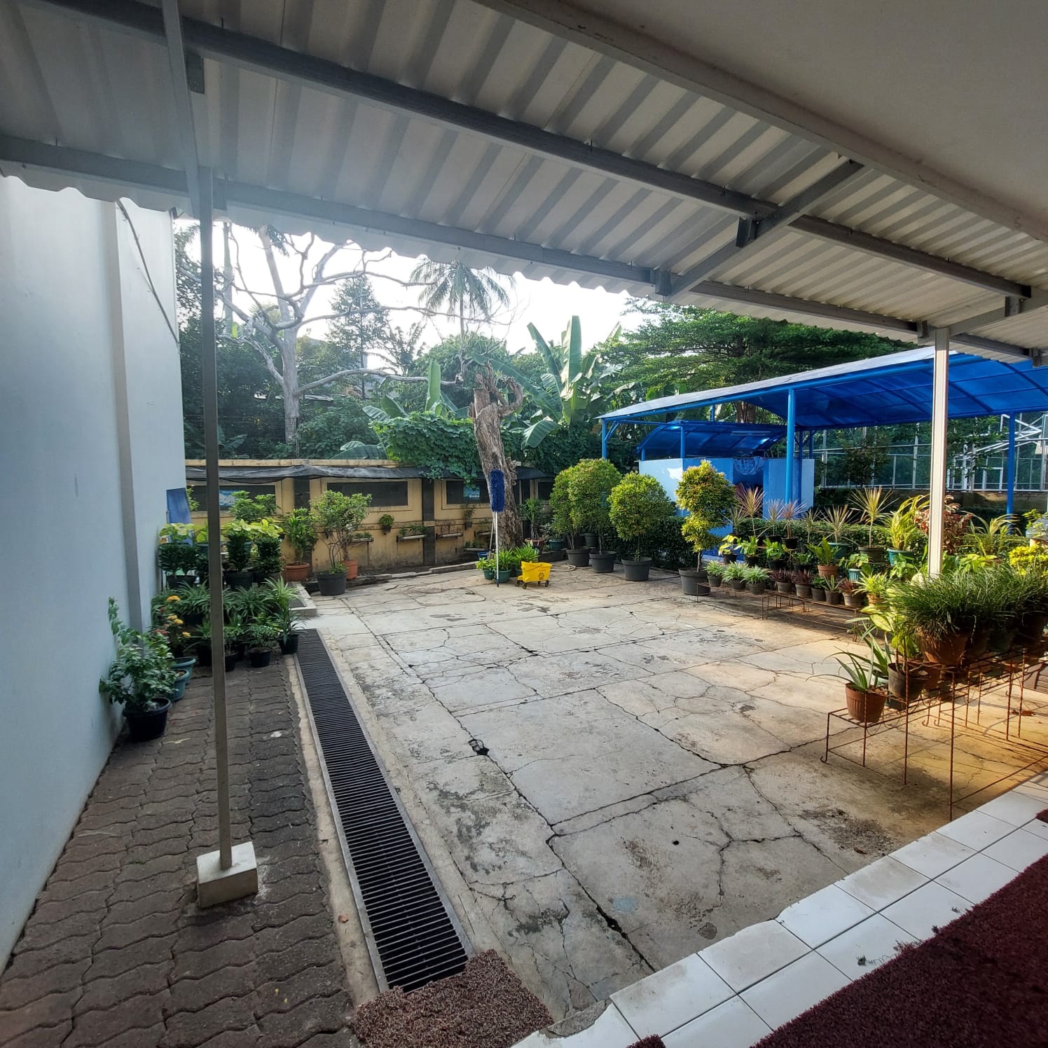 Taman Belakang TK SD SMP SMA PK2T ACTS BINA IMAN SEKOLAH holistic TIRTAMARTA BPK PENABUR KRISTEN JAKARTA SELATAN DEPOK PONDOK INDAH CINERE PENERIMAAN SISWA BARU PESERTA DIDIK 2025 2026 PSB PPDB PENDAFTARAN PENDIDIKAN KARAKTER teknologi bukan batasan
