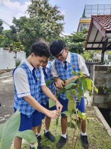 Siswa SMP TIRTAMARTA Penabur Cinere Tunjukkan Kepedulian Lingkungan Lewat Program Environment Awareness TK SD SMP SMA PK2T ACTS BINA IMAN SEKOLAH holistic TIRTAMARTA BPK PENABUR KRISTEN JAKARTA SELATAN DEPOK PONDOK INDAH CINERE PENERIMAAN SISWA BARU PESERTA DIDIK 2025 2026 PSB PPDB PENDAFTARAN PENDIDIKAN KARAKTER teknologi bukan batasan CHARACTER IS WHAT YOU ARE IN THE DARK